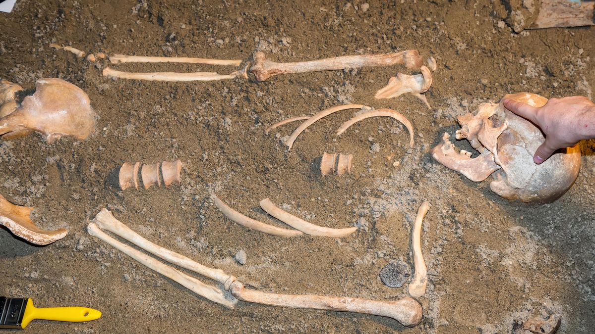 V kostech ukryté hormony. Vědci odhalili, že těhotenství lze rozpoznat i po staletích